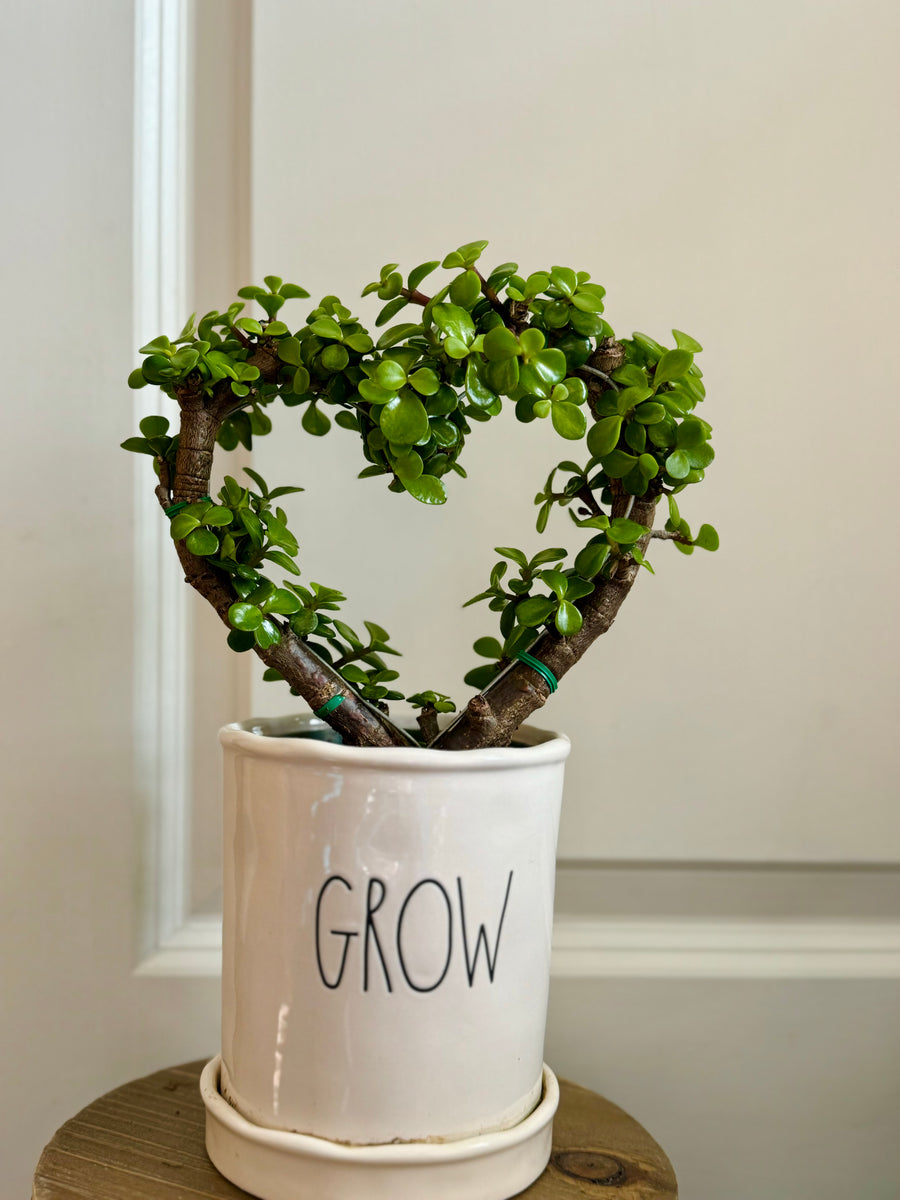 08DEA0D0-C445-4E83-ABED-