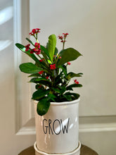 Load image into Gallery viewer, Crown of Thorns