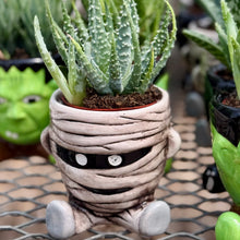 Load image into Gallery viewer, Halloween collection