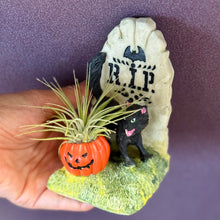 Load image into Gallery viewer, Halloween collection