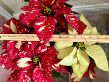 Load image into Gallery viewer, Sparkle poinsettias