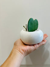 Load image into Gallery viewer, Haley Pot