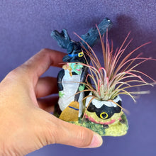 Load image into Gallery viewer, Halloween collection