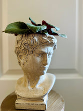 Load image into Gallery viewer, Almost David’s Bust