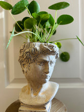 Load image into Gallery viewer, Almost David’s Bust