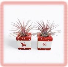 Load image into Gallery viewer, Stocking toppers