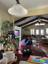 Load image into Gallery viewer, Canterbury Bells (Campanula medium)