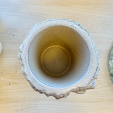 Load image into Gallery viewer, Almost David’s Bust