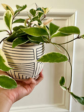 Load image into Gallery viewer, Lined Planter