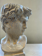 Load image into Gallery viewer, Almost David’s Bust