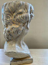 Load image into Gallery viewer, Almost David’s Bust