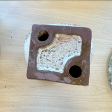 Load image into Gallery viewer, Almost David’s Bust