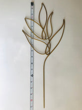 Load image into Gallery viewer, Golden Trellises