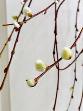 Load image into Gallery viewer, The Tree of Enchantment