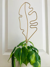 Load image into Gallery viewer, Golden Trellises