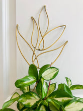 Load image into Gallery viewer, Golden Trellises