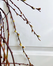 Load image into Gallery viewer, The Tree of Enchantment