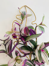 Load image into Gallery viewer, Golden Trellises