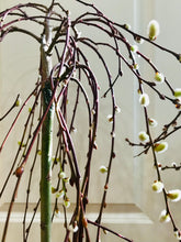 Load image into Gallery viewer, The Tree of Enchantment