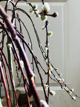 Load image into Gallery viewer, The Tree of Enchantment