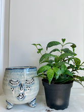 Load image into Gallery viewer, Mustache and Lashes