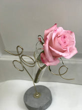 Load image into Gallery viewer, One and Only