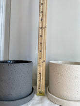 Load image into Gallery viewer, Easton Pot