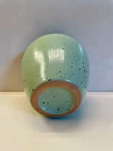 Load image into Gallery viewer, Robin's Egg Pot