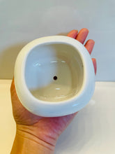 Load image into Gallery viewer, Haley Pot