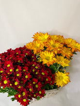 Load image into Gallery viewer, Fall MUM arrangement