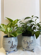 Load image into Gallery viewer, Mustache and Lashes