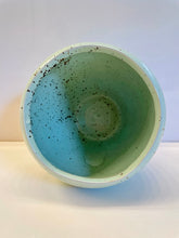 Load image into Gallery viewer, Robin's Egg Pot