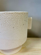 Load image into Gallery viewer, Leroy Planter