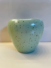 Load image into Gallery viewer, Robin's Egg Pot