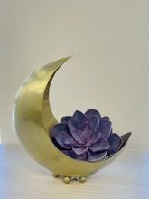 Load image into Gallery viewer, Crescent Moon