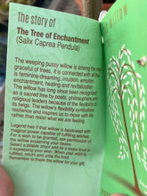 Load image into Gallery viewer, The Tree of Enchantment