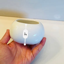 Load image into Gallery viewer, Haley Pot