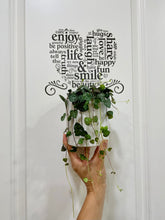 Load image into Gallery viewer, String of Hearts (Ceropegia woodii)