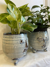 Load image into Gallery viewer, Mustache and Lashes