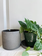 Load image into Gallery viewer, Easton Pot