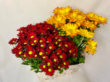 Load image into Gallery viewer, Fall MUM arrangement