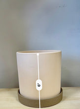 Load image into Gallery viewer, Opposite Twins Planters