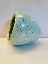 Load image into Gallery viewer, Robin's Egg Pot