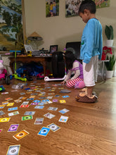 Load image into Gallery viewer, Monstera Ginny (Rhaphidophora Tetrasperma)