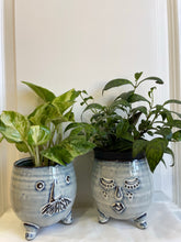 Load image into Gallery viewer, Mustache and Lashes