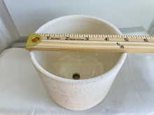 Load image into Gallery viewer, Easton Pot