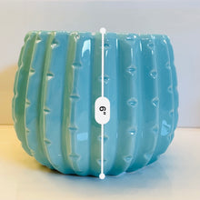 Load image into Gallery viewer, Blue Cactus Pot