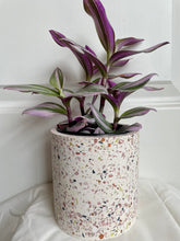 Load image into Gallery viewer, Speckled Planter