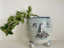 Load image into Gallery viewer, Hoya Hindu Rope (Hoya Carnosa Compacta)