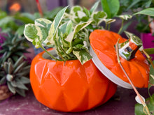 Load image into Gallery viewer, PumpkinTop
